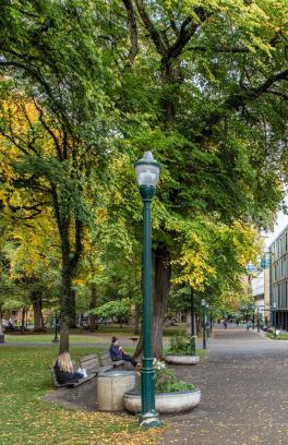 PSU Park blocks