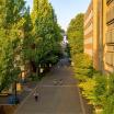 PSU campus near library