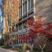 Park Blocks near Fariborz Maseeh Hall