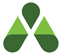 Icon of Accurent EMS software. Green leaves in shape of a letter A.