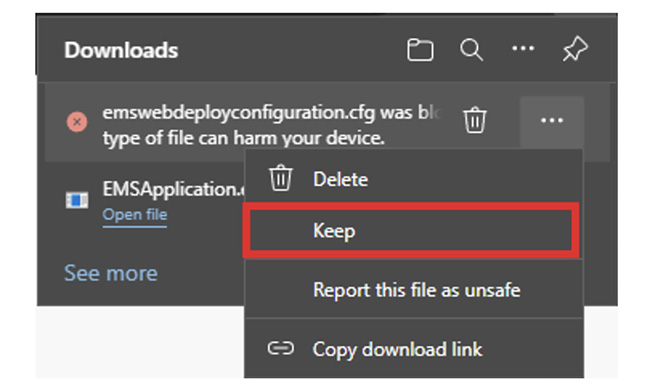 Sample of a Microsoft Edge pop-up. It warns this filetype can harm your computer. For EMS installation, select Keep.