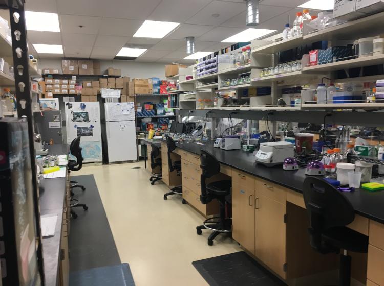 Science laboratory in the Science Research and Teaching Center