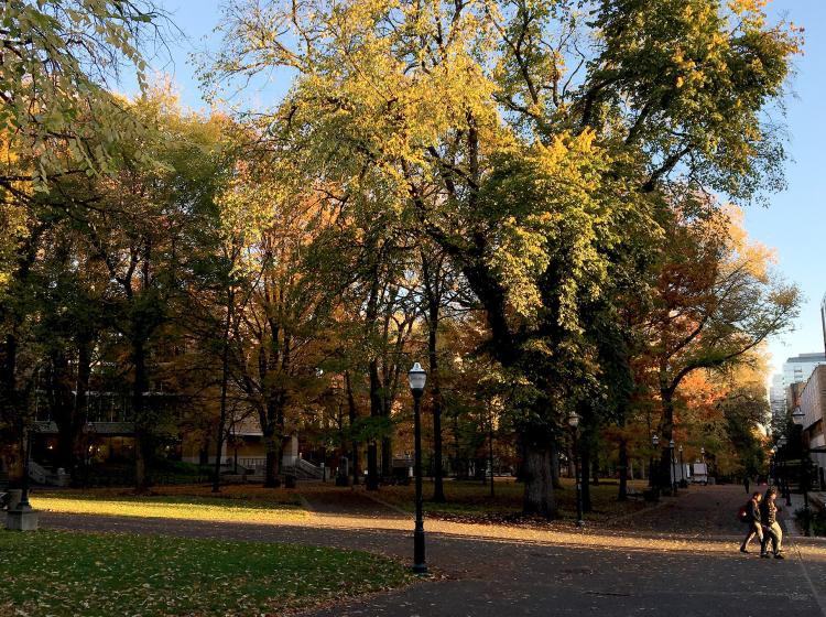 The Park Blocks provide a scenic backdrop for PSU's meeting spaces.