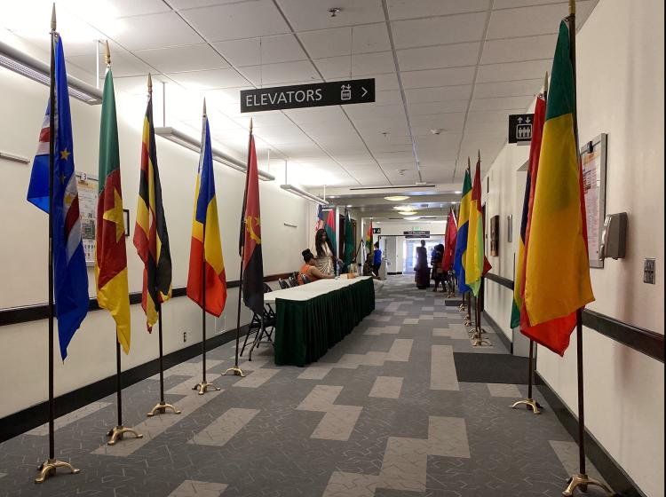 Flags of African nations line the corridor in Smith for a student-hosted event