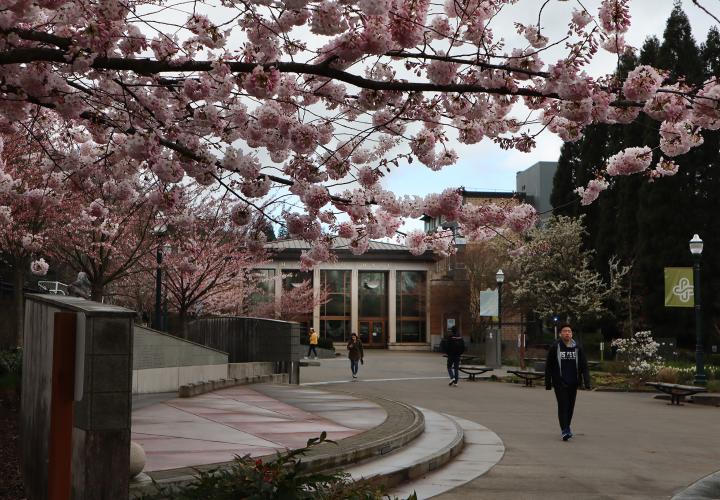 Hoffmann Hall is a lecture hall and meeting space.