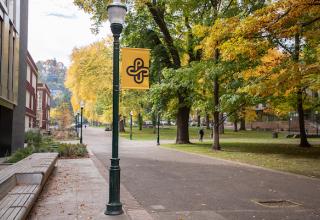 Fall Foliage at PSU