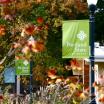 Fall Walk of Heroines with Banners