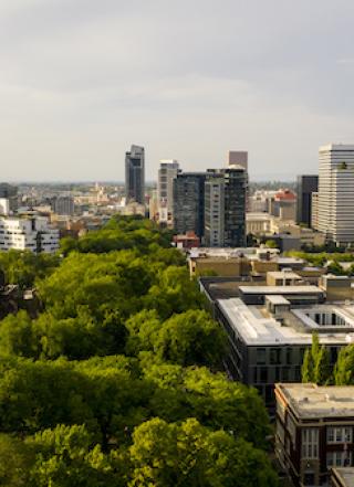 aerial view of park blocks