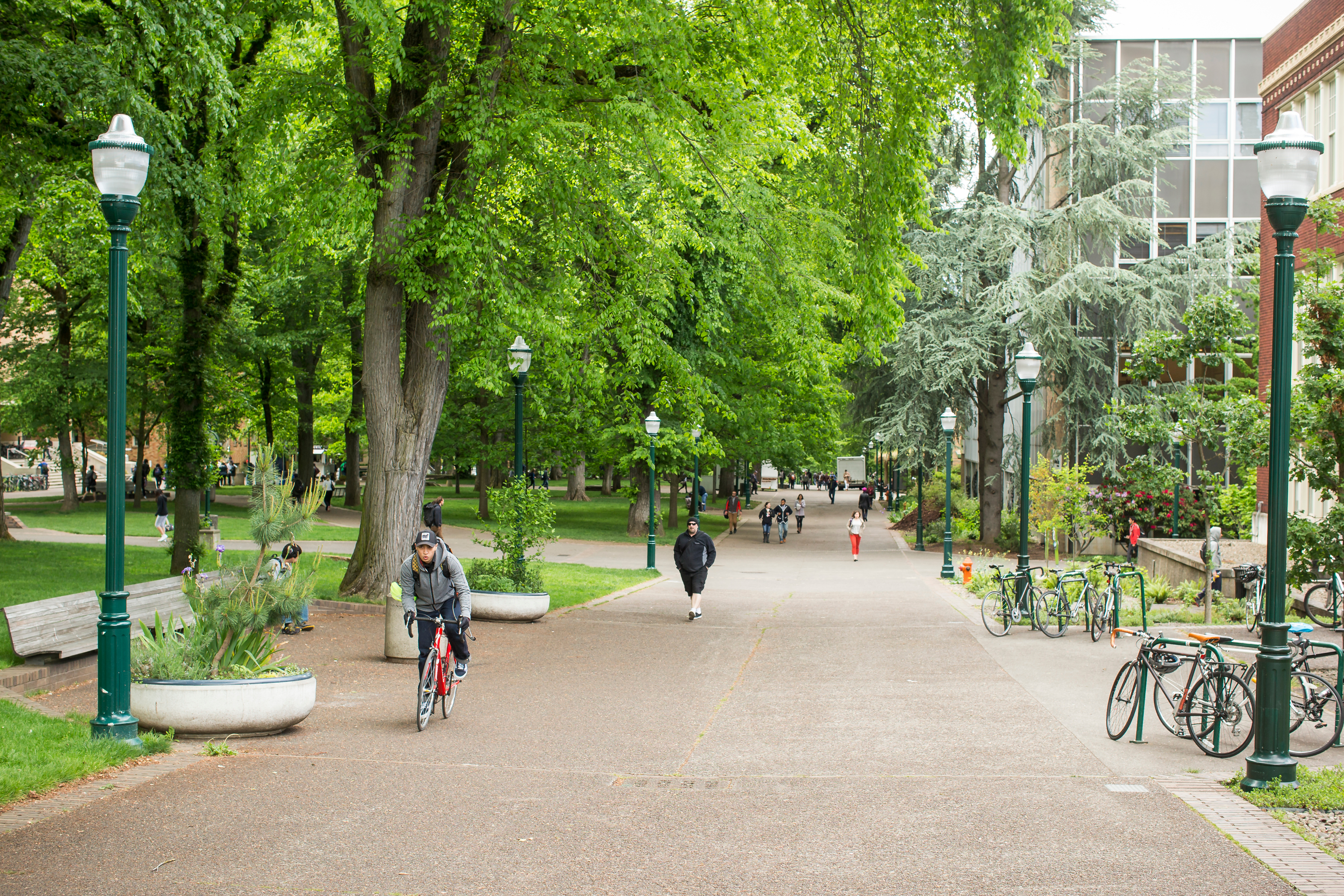 Students walking or bike riding through the Park Blocks