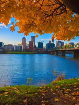 Portland skyline