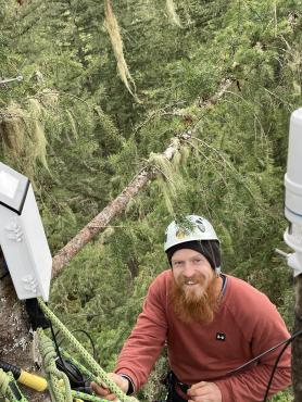 A treeclimber wearing a helmet poses next to scientific equipment attached near the top of a tall tree in Portland