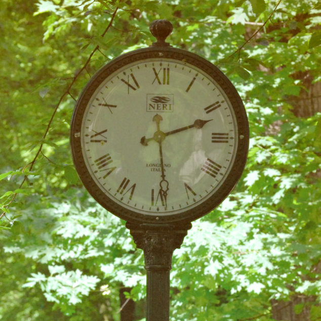 Photograph of old-fashioned clock with trees in the background