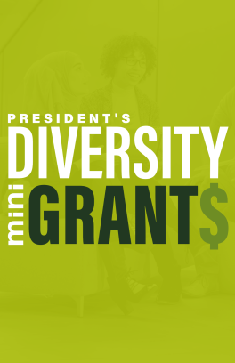 Mini Grants