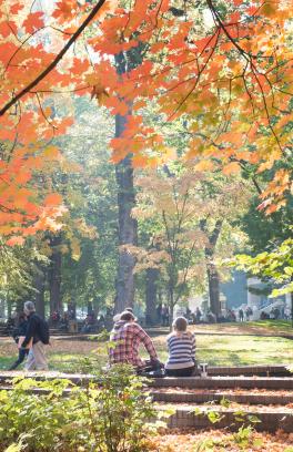 Park Blocks in Autumn