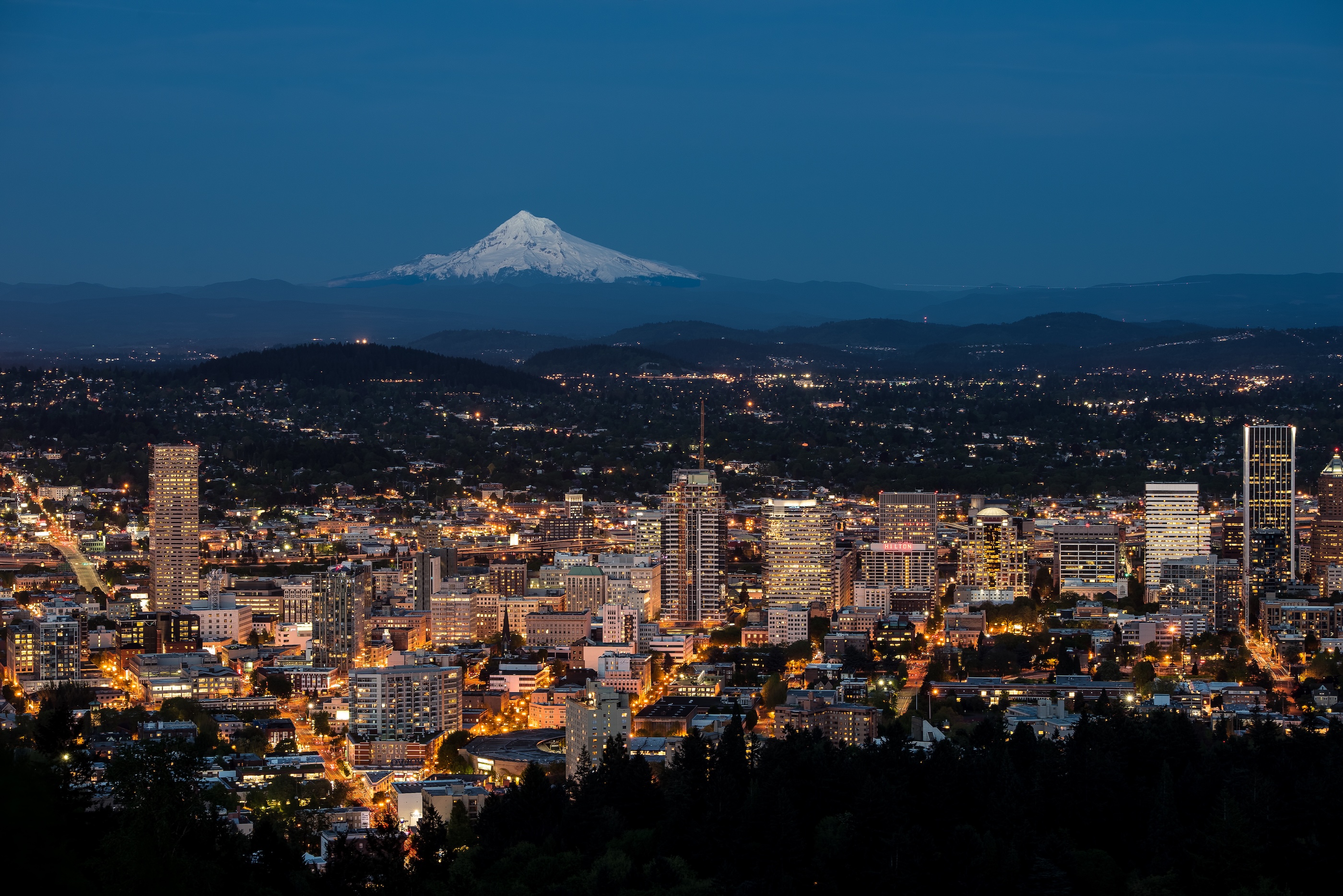 Portland cityscape with Mt. Hood in backdrop at night