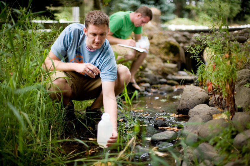 Students collecting samples from stream
