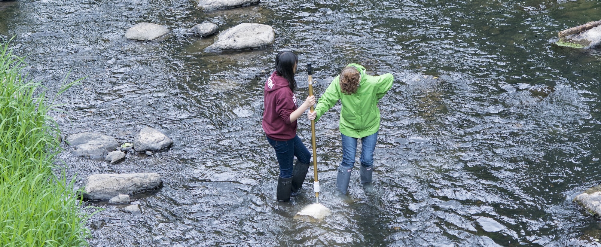Students collecting samples from water