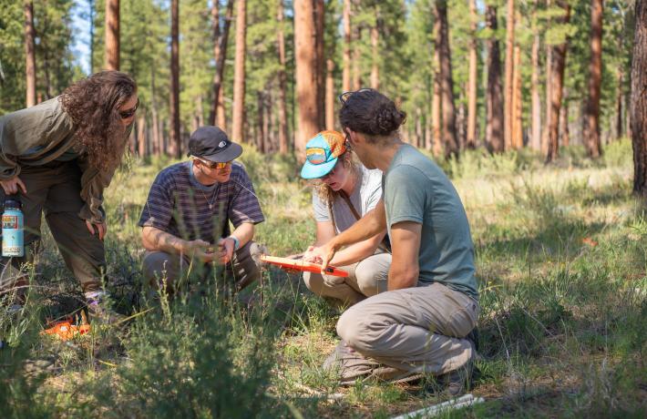 Professors and students collecting data in forest