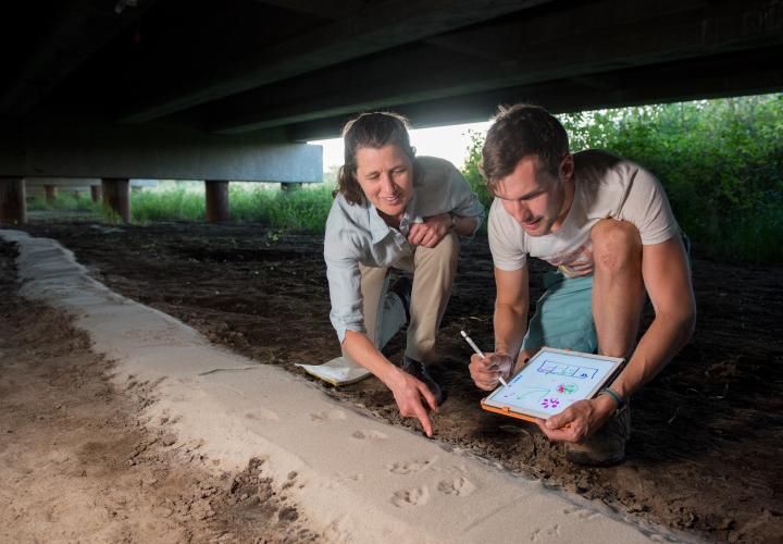 Professor and student collecting data at field site