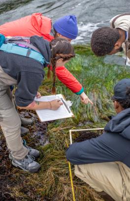 Four Portland State students collecting environmental data at Boiler Bay, using a clipboard and quadrant.