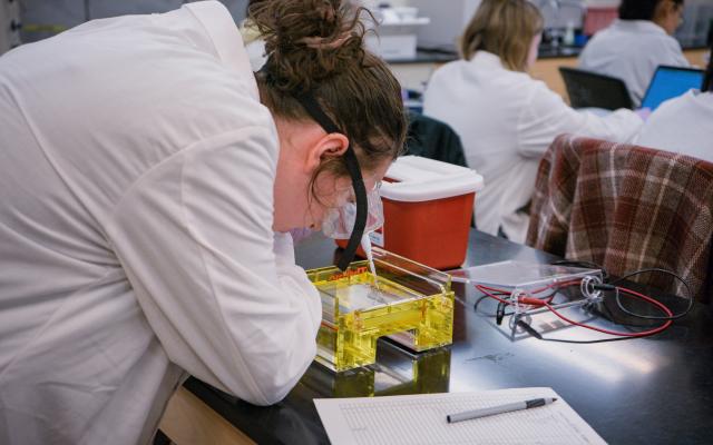 Student in lab analyzing samples