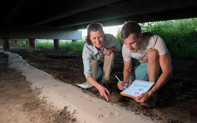 Professor and student collecting data at field site