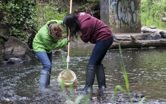 Students collecting samples from river