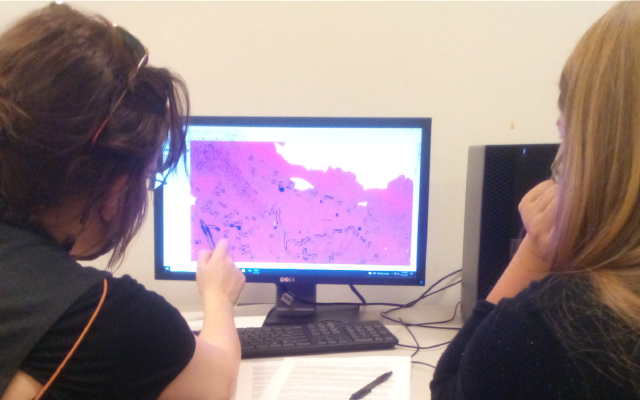 Students looking at maps on computer