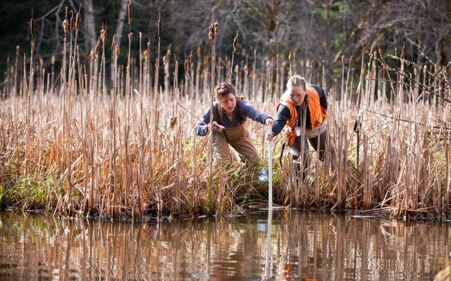 Students collecting samples from water