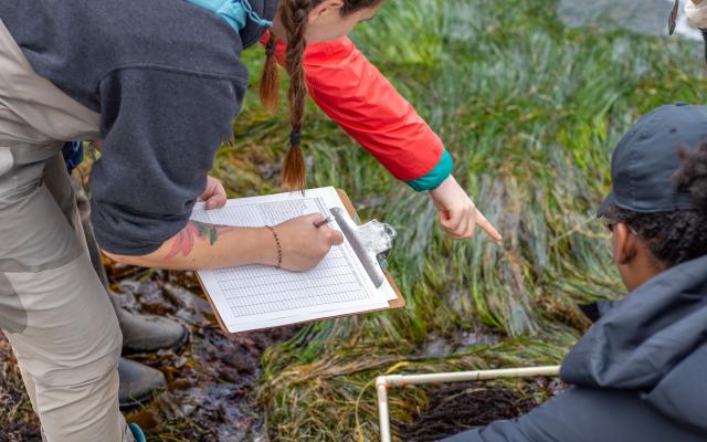 Four Portland State students collecting environmental data at Boiler Bay, using a clipboard and quadrant.