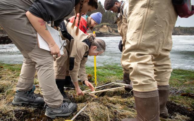 Professor and students using measuring tools on coastline