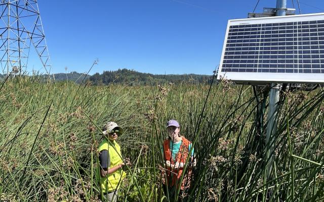 Researchers in field
