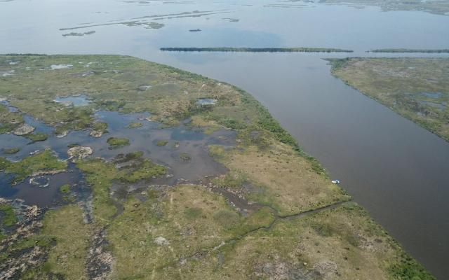 Aerial view of marsh landscape