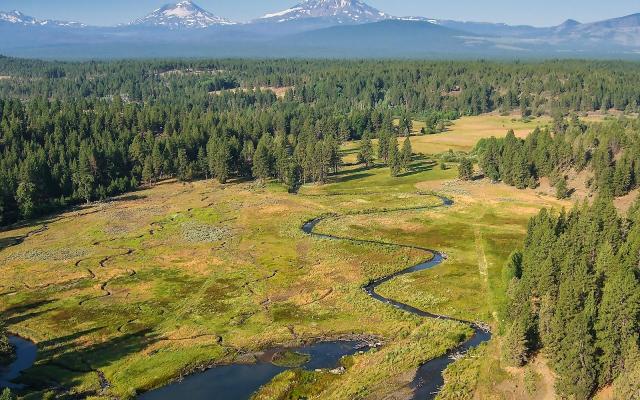 Aerial view of field and forest with water running through