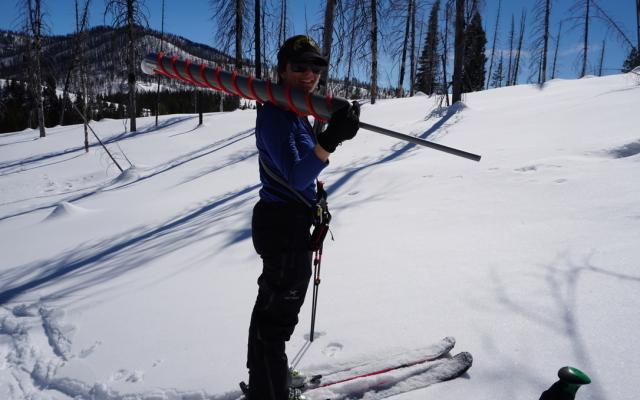 Researcher on skis with snow sample tube