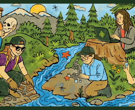 A colorful illustration depicting five students or scientists in a natural setting. Activities include: one person studying a skull, another digging up rocks, a third examining water samples with a microscope by a stream, a fourth holding a vial, and a fifth working on a laptop on a tree stump.