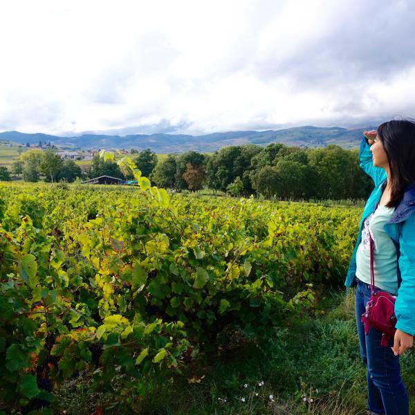 Student looking out over vineyard in France