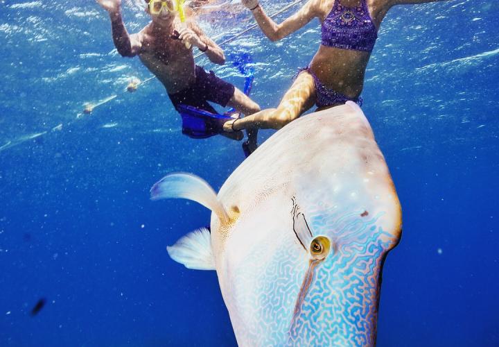 students snorkeling