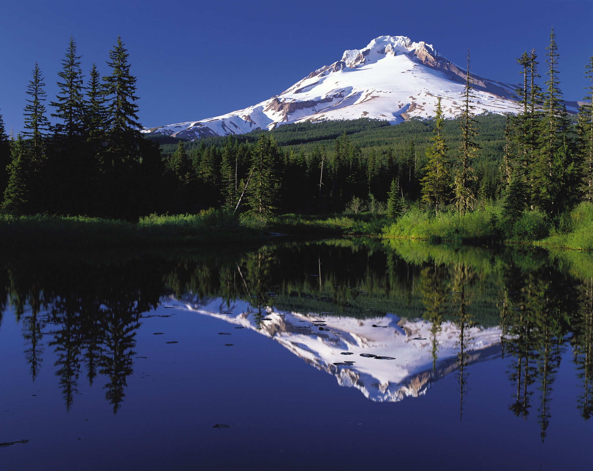 Majestic Mount Hood from Trillium Lake.