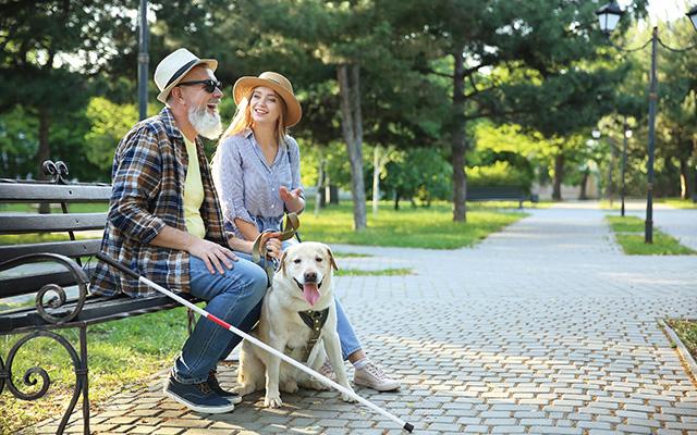 An elderly man with a vision impairment and canine assistant sits on a bench chating with a young blonde woman.