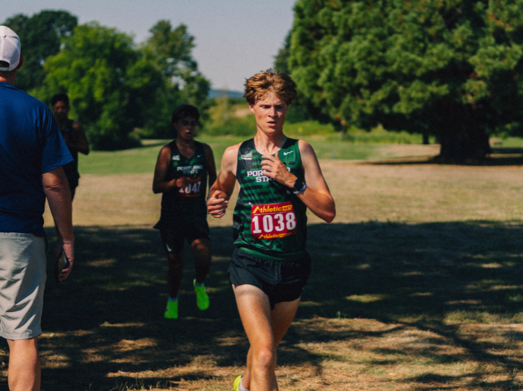 Luke Gillingham