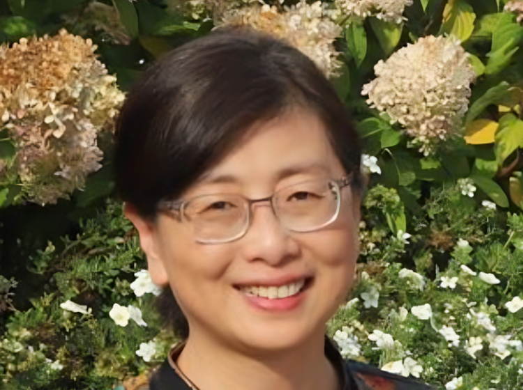 Jin Zhang