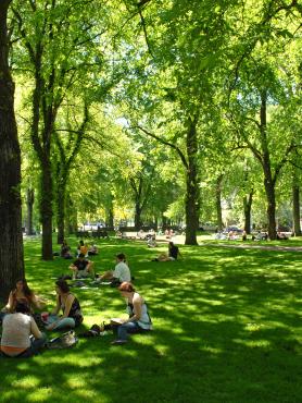 students grouped together studying in grassy area