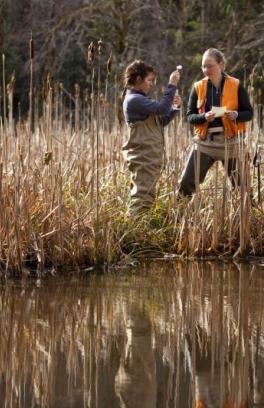 Students performing environmental engineering research in a marsh