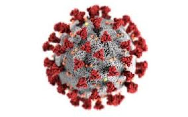 virus