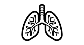 Outline of a persons lungs