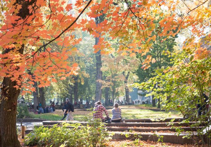 Park blocks in fall