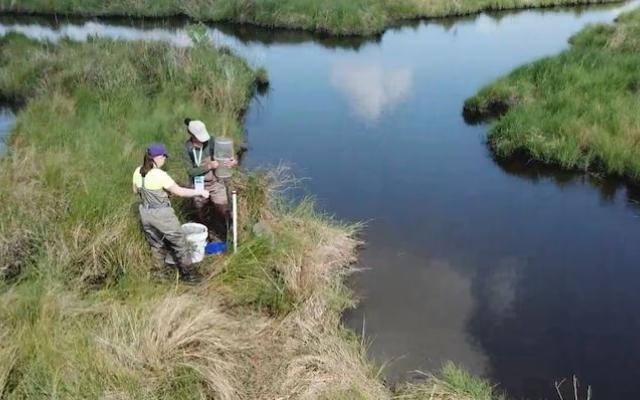 Paola and student preparing minnow traps for deployment at marsh