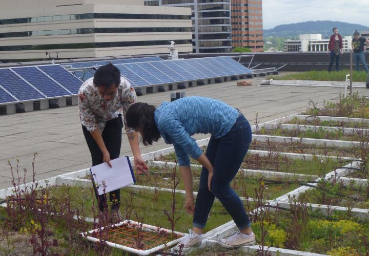 two students are bent over rooftop garden bed