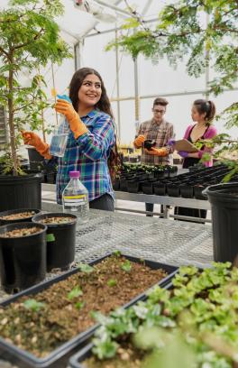 a student stands in a green house with a spray bottle poised to spray a small tree